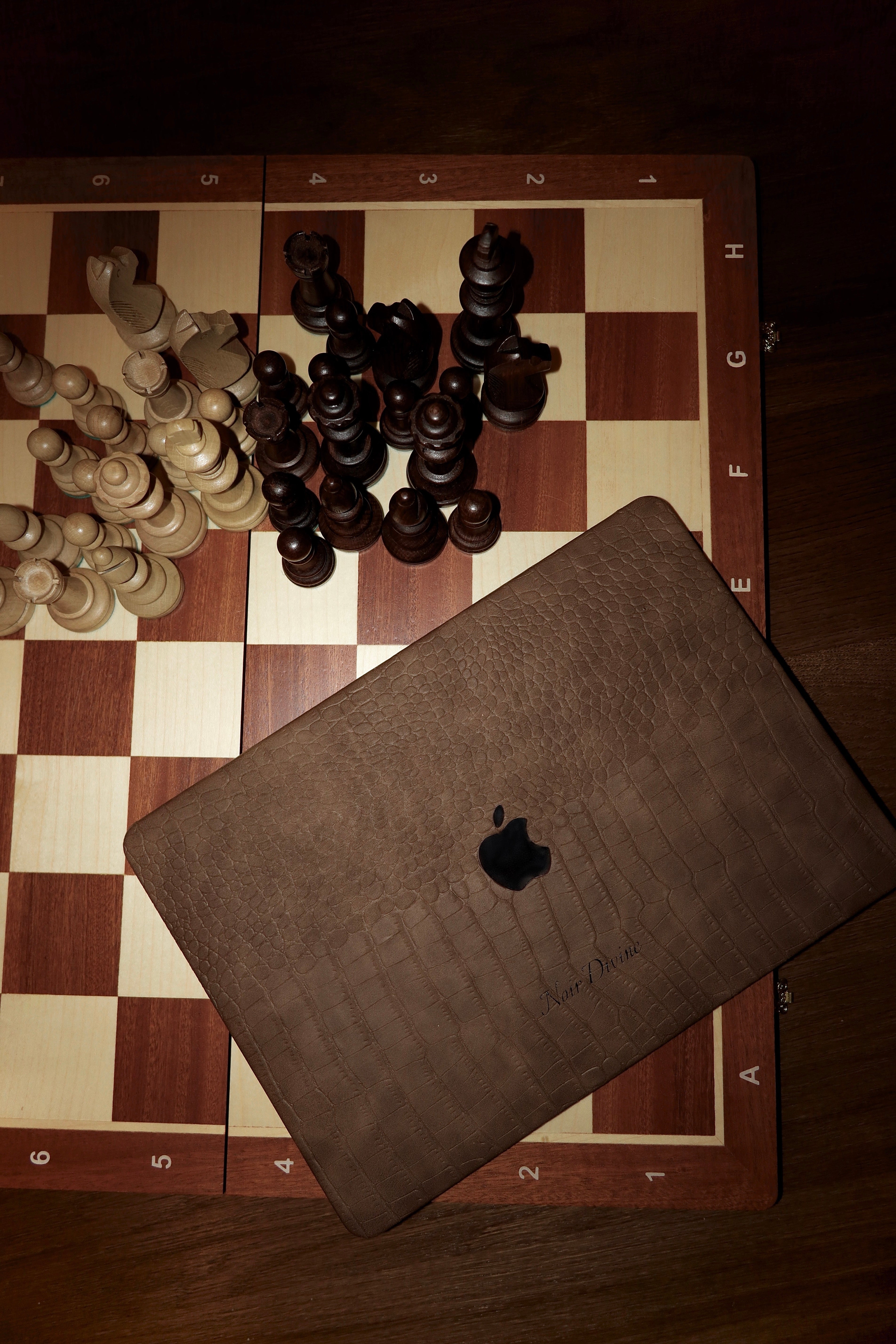 Pruun kroko sülearvutikate