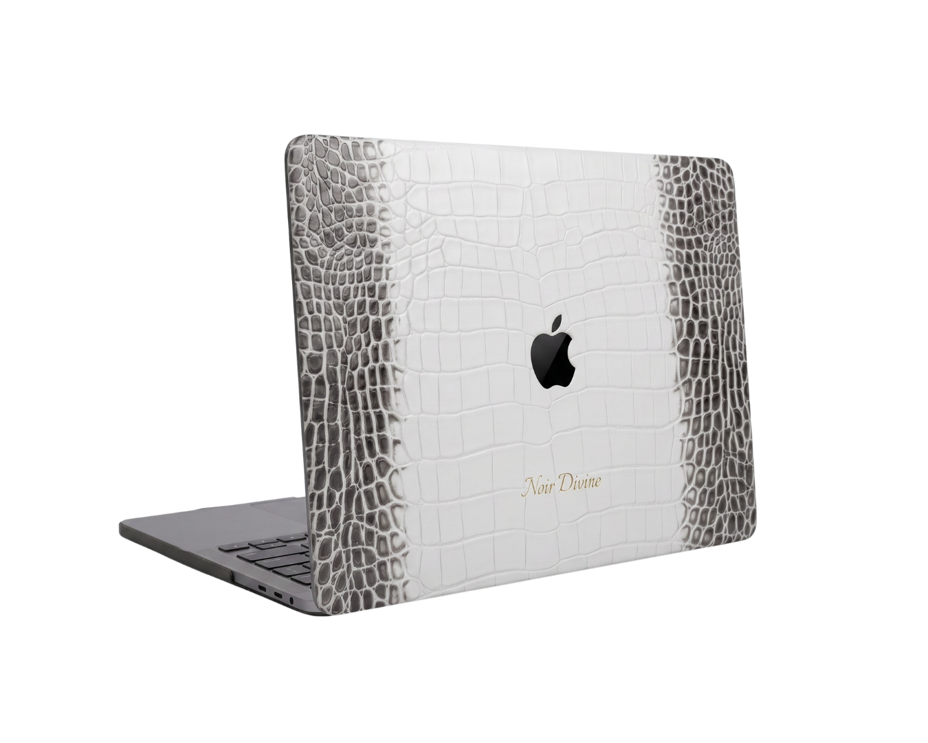 ASH LAPTOP CASE